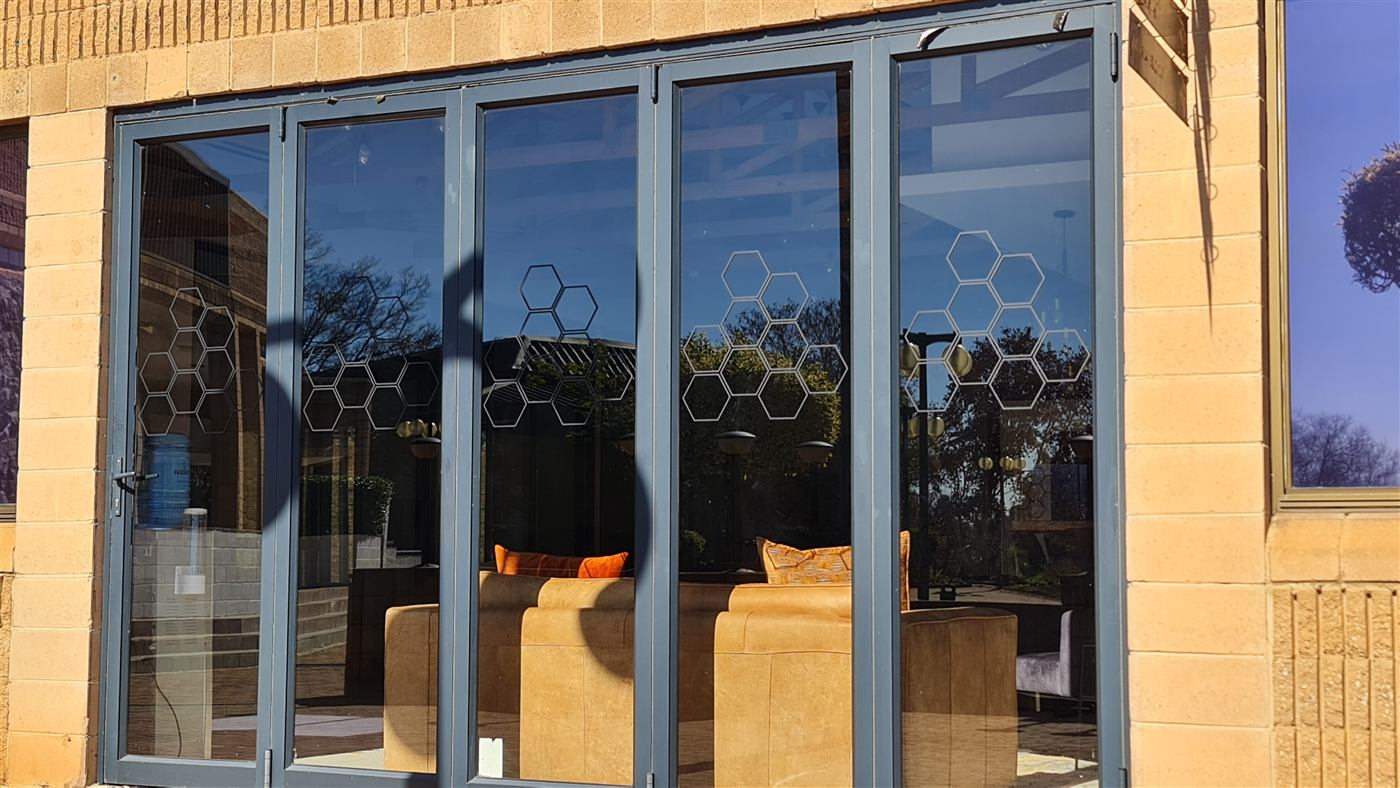 Frosted hexagon window vinyl and manifestation on office glass doors